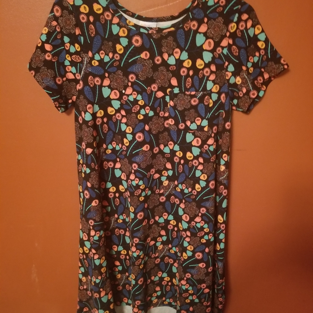 Lularoe Carly Dress
